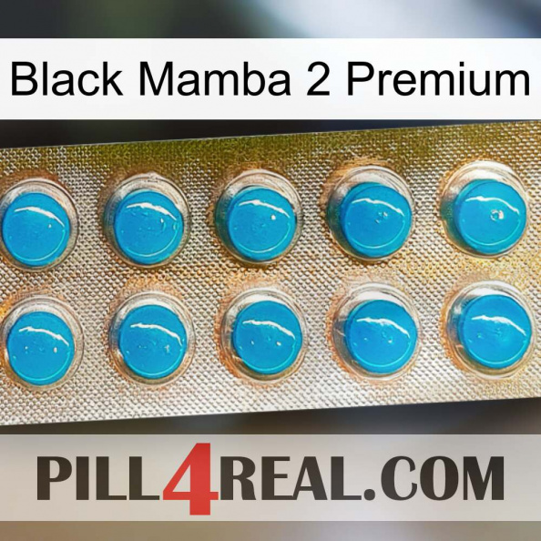 Black Mamba 2 Premium new09.jpg